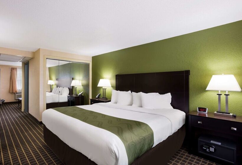 فندق Quality Inn & Suites Big Rapids Near University