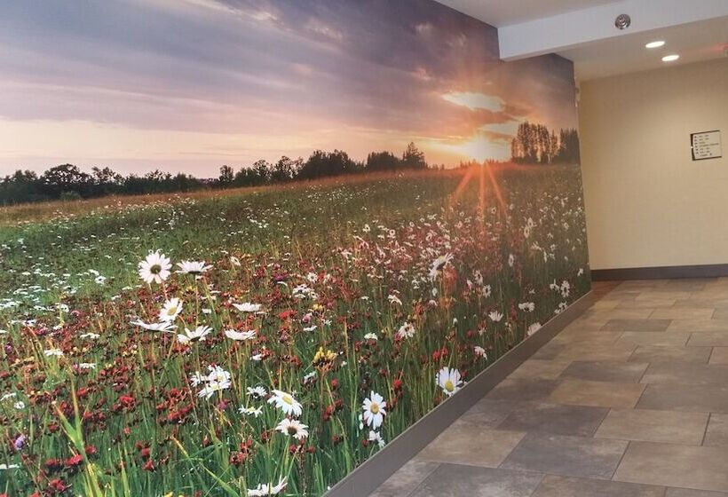 فندق Quality Inn & Suites