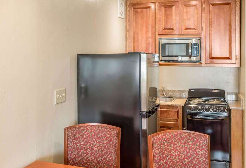 酒店 Quality Inn & Suites Downtown