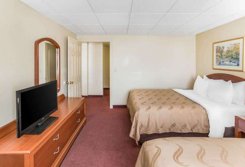 فندق Quality Inn & Suites Downtown