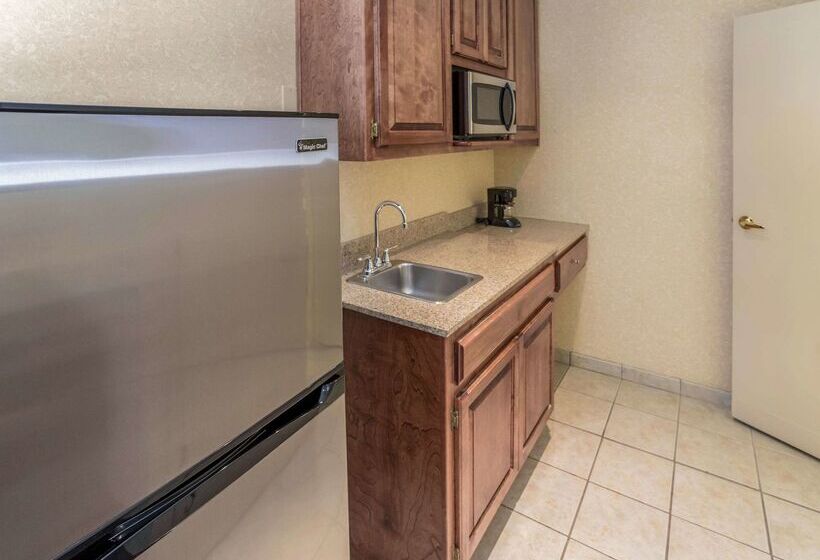 فندق Quality Inn & Suites Downtown