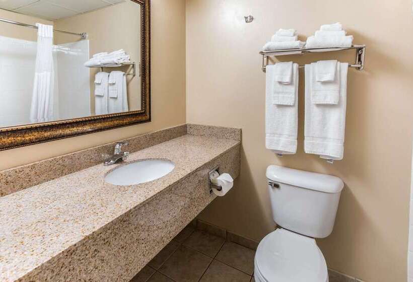 فندق Quality Inn & Suites Downtown