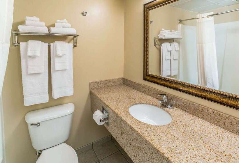 فندق Quality Inn & Suites Downtown