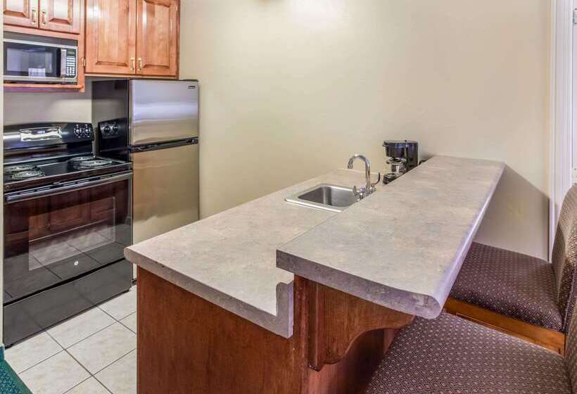 فندق Quality Inn & Suites Downtown