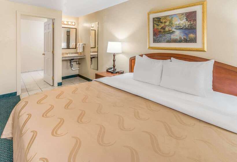 فندق Quality Inn & Suites Downtown