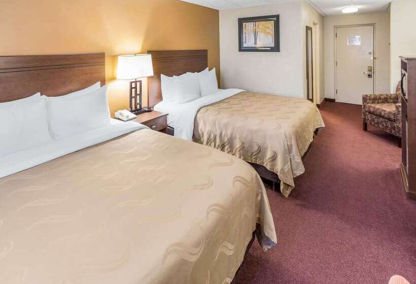 فندق Quality Inn & Suites Downtown