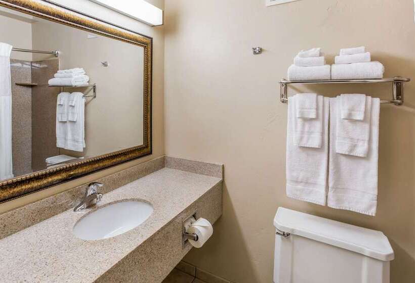 酒店 Quality Inn & Suites Downtown