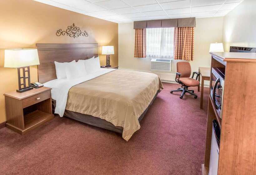 فندق Quality Inn & Suites Downtown