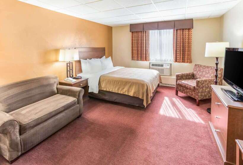 فندق Quality Inn & Suites Downtown