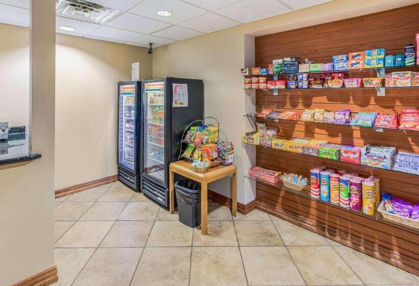 فندق Quality Inn & Suites Downtown