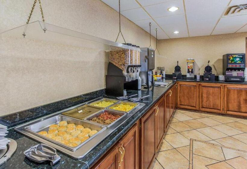فندق Quality Inn & Suites Downtown