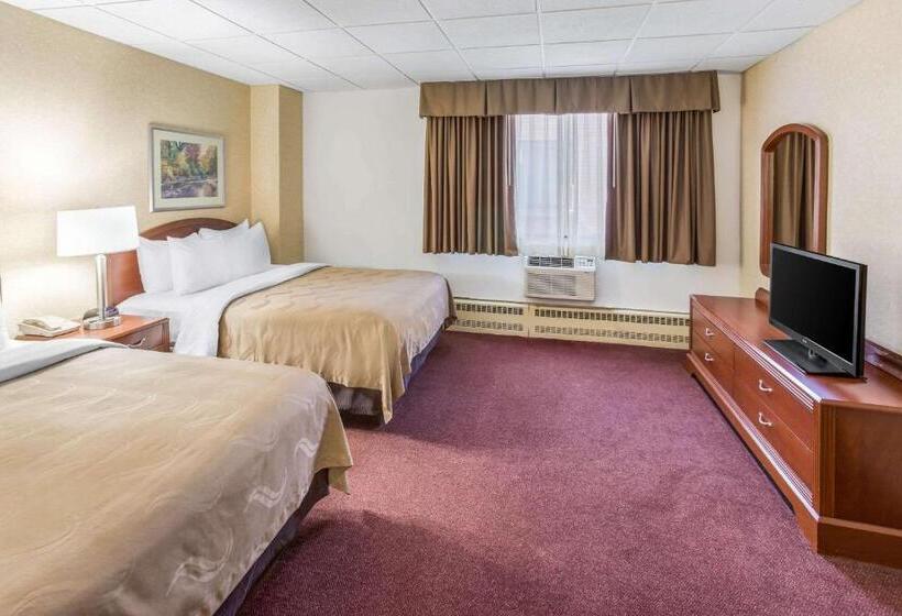 فندق Quality Inn & Suites Downtown