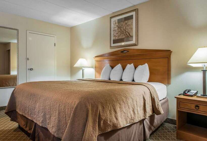 ホテル Quality Inn & Suites