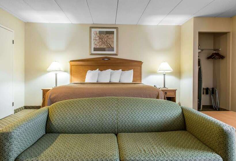 ホテル Quality Inn & Suites