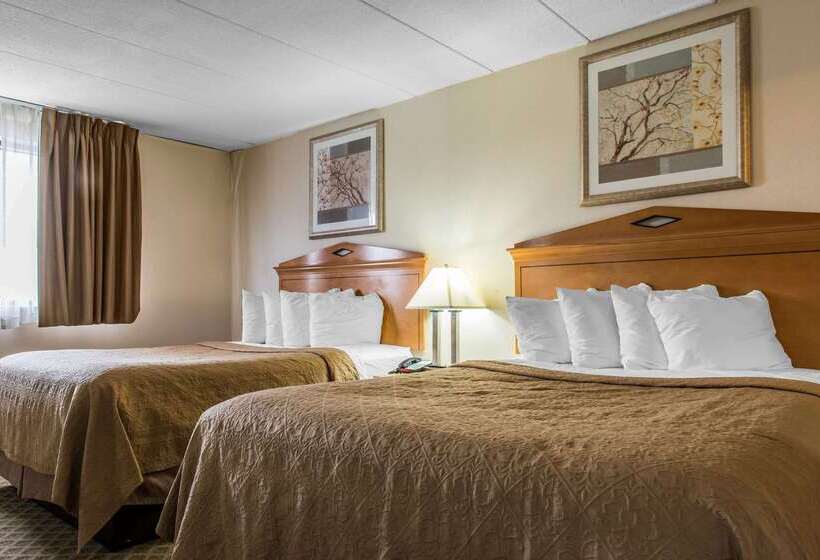 ホテル Quality Inn & Suites