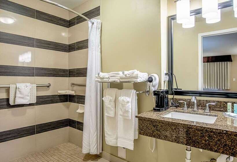 酒店 Quality Inn & Suites Phoenix Nw Sun City