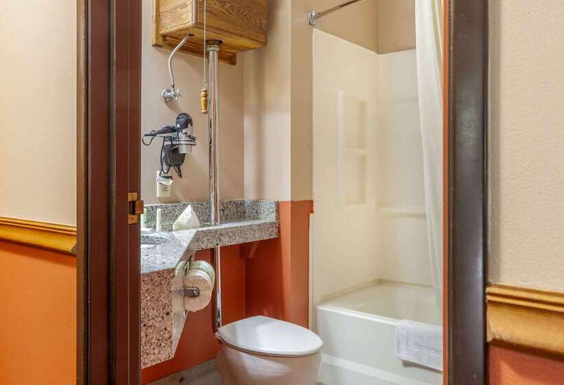 فندق Quality Inn & Suites