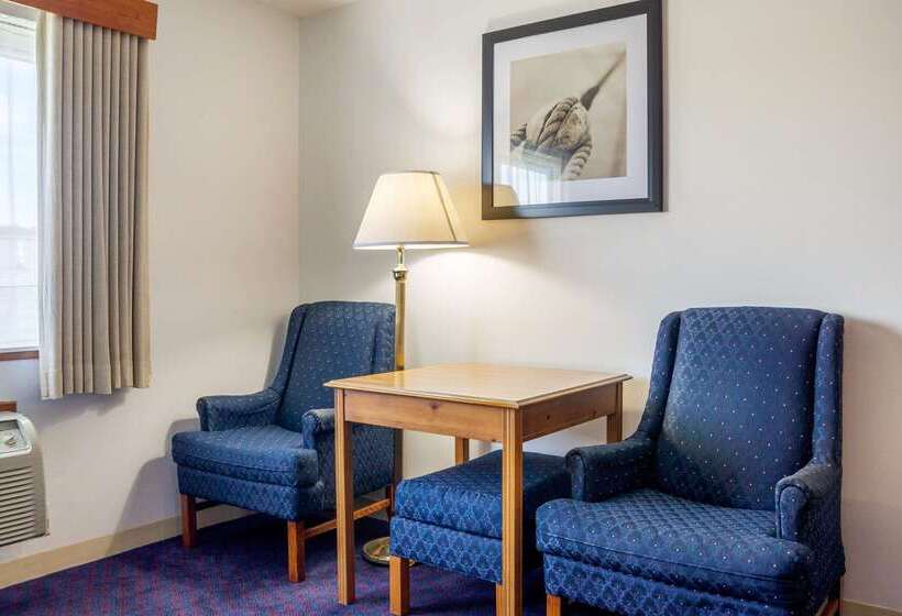 酒店 Quality Inn & Suites