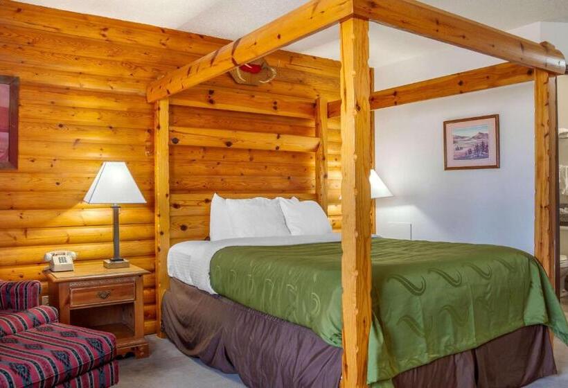 فندق Quality Inn & Suites