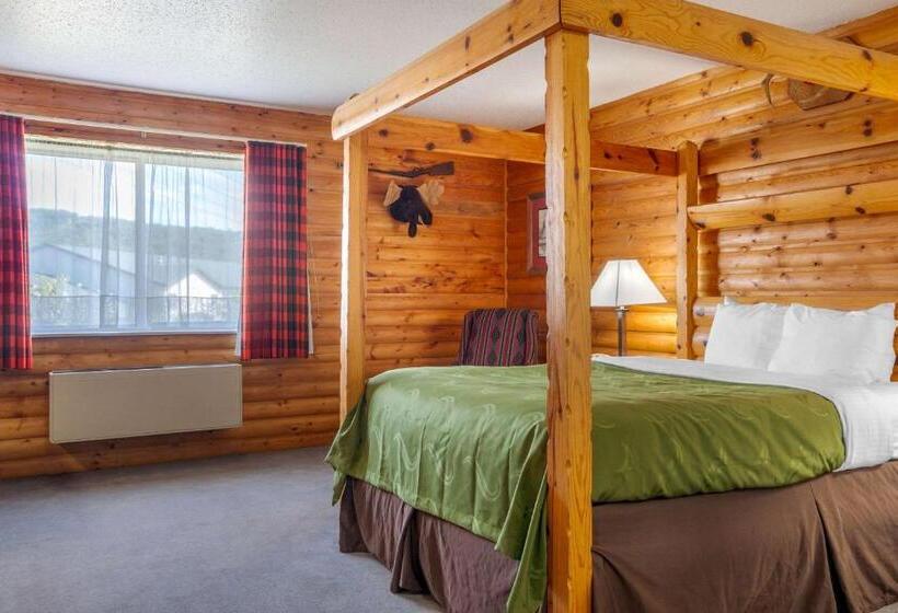 فندق Quality Inn & Suites