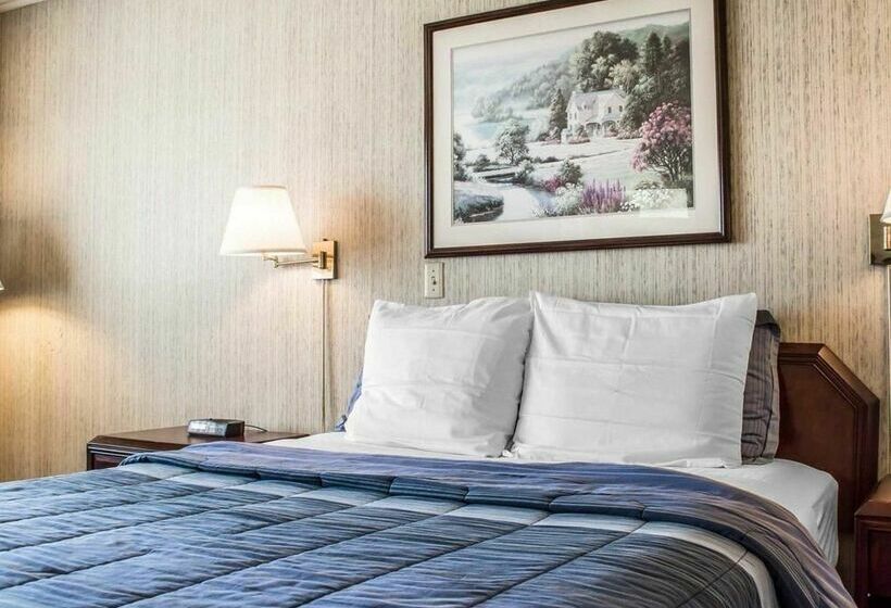 Отель Rodeway Inn Marshall Manor