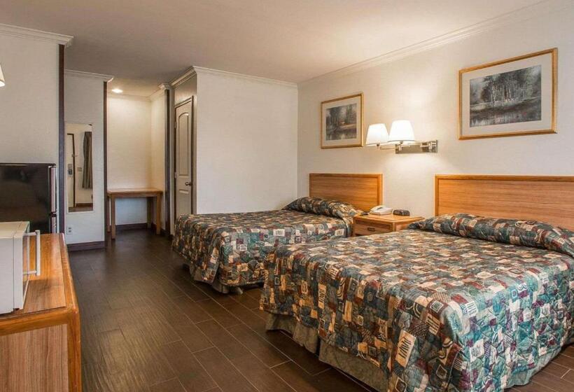 Palm Inn Hotel Near Tyler Mall Riverside