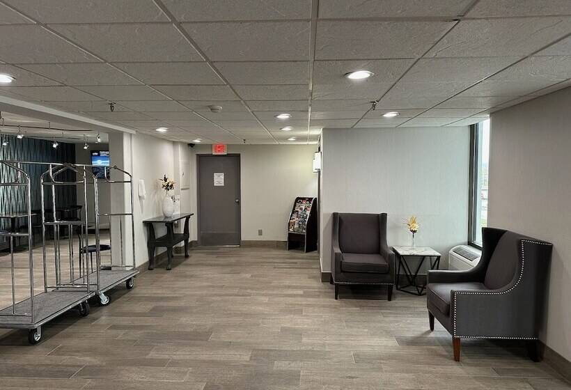 ホテル Comfort Inn & Suites