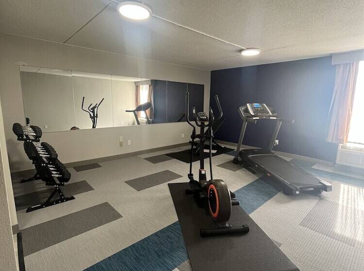 ホテル Comfort Inn & Suites