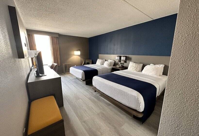 ホテル Comfort Inn & Suites