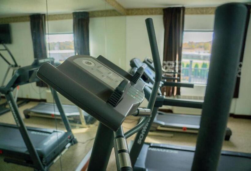 Отель Royal Inn & Suites