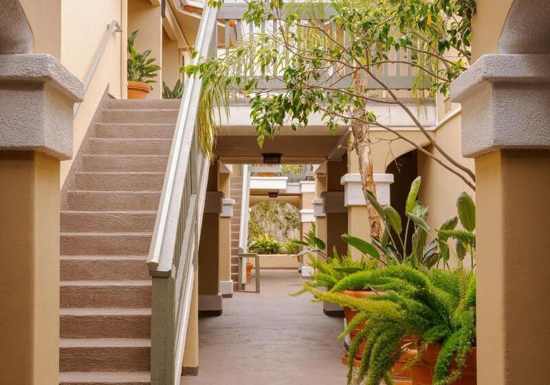 בית מלון כפרי Sonder La Ensenada