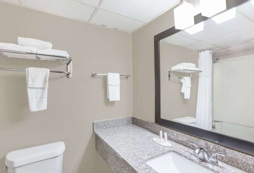 فندق Super 8 By Wyndham Buffalo