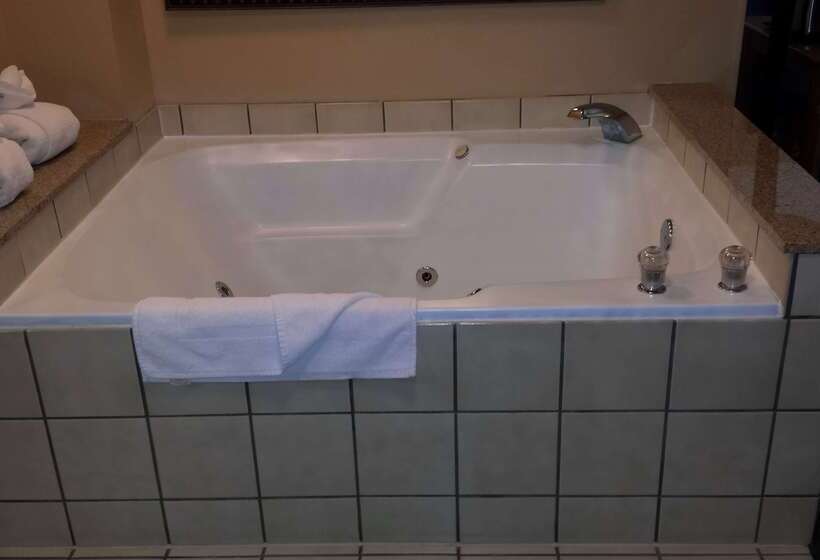 Surestay Plus Hotel By Best Western Black River Falls