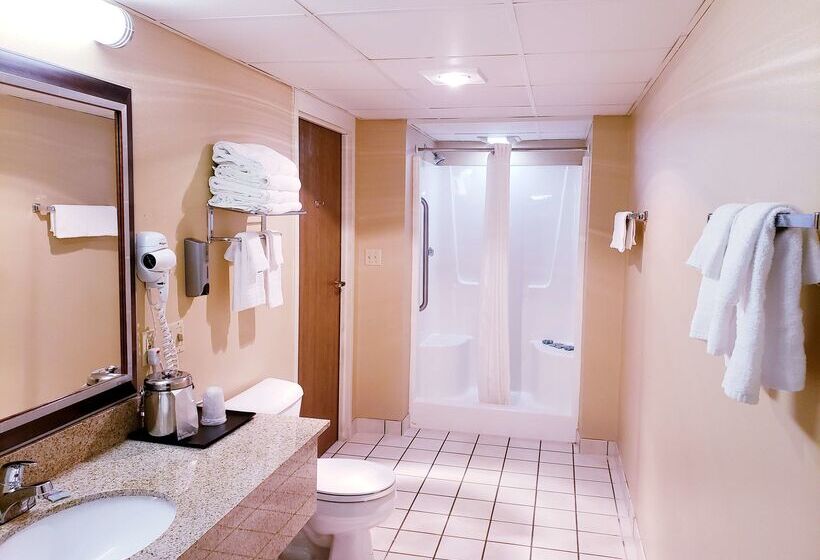 Surestay Plus Hotel By Best Western Black River Falls