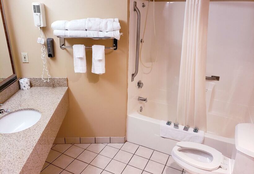 Surestay Plus Hotel By Best Western Black River Falls
