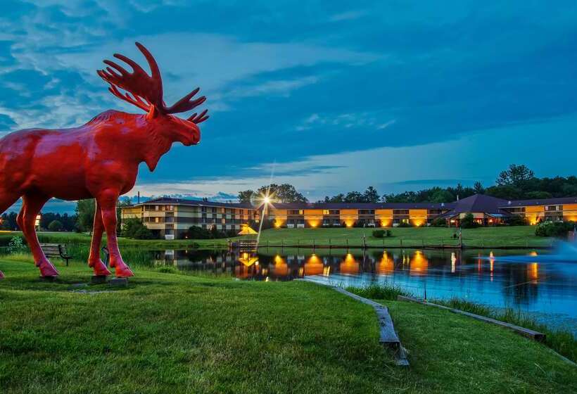 Surestay Plus Hotel By Best Western Black River Falls