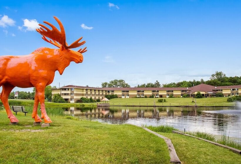 Surestay Plus Hotel By Best Western Black River Falls