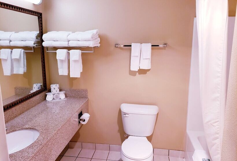 Surestay Plus Hotel By Best Western Black River Falls