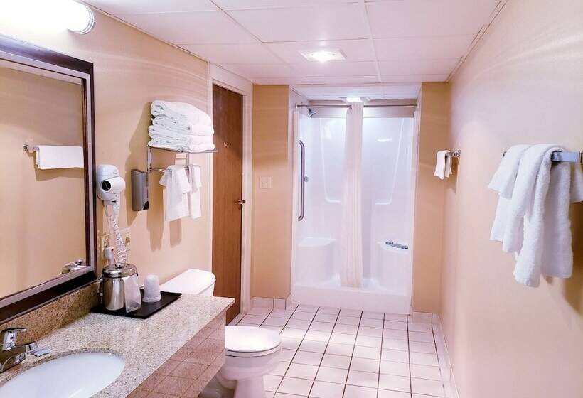 Surestay Plus Hotel By Best Western Black River Falls