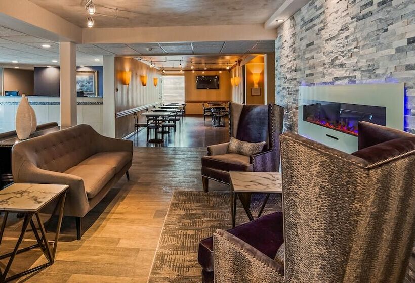 ホテル Comfort Inn & Suites