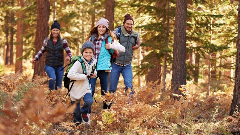 فندق La Grande Inn