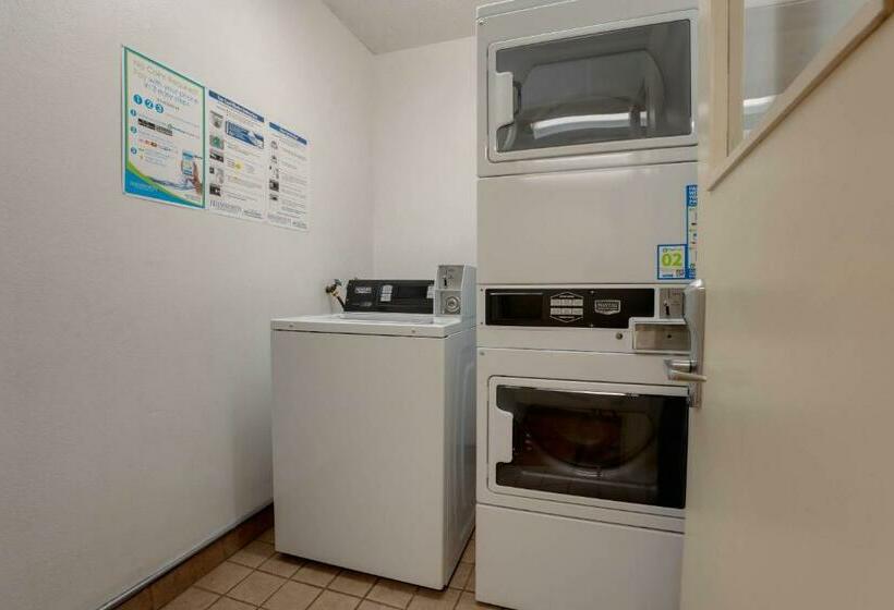 호텔 The Loyal Inn