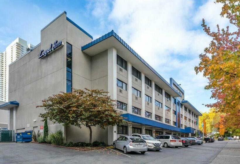 호텔 The Loyal Inn