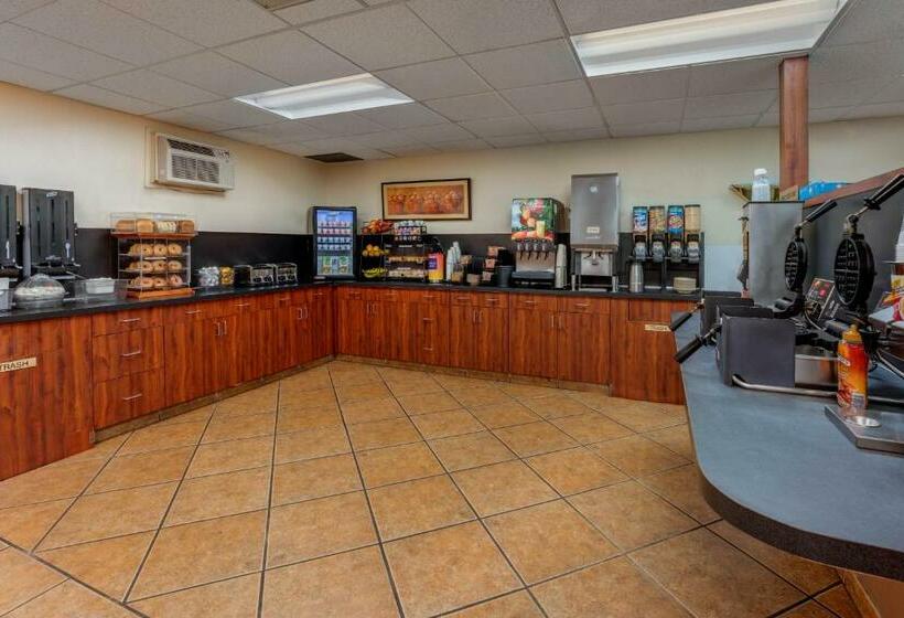 호텔 The Loyal Inn