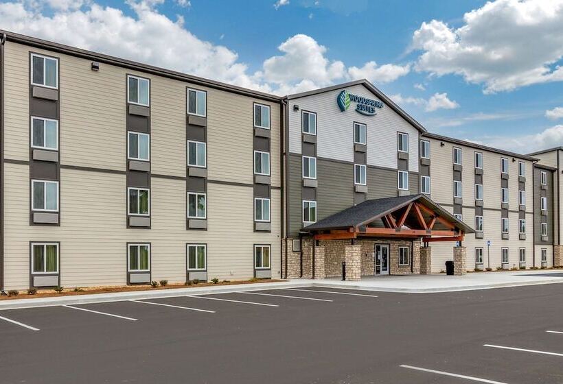 酒店 Woodspring Suites Brunswick