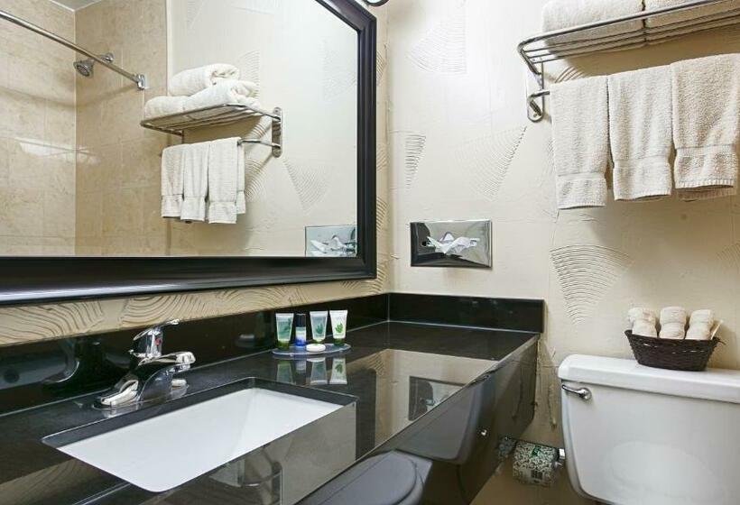 Motel 6 Dallas TX Downtown