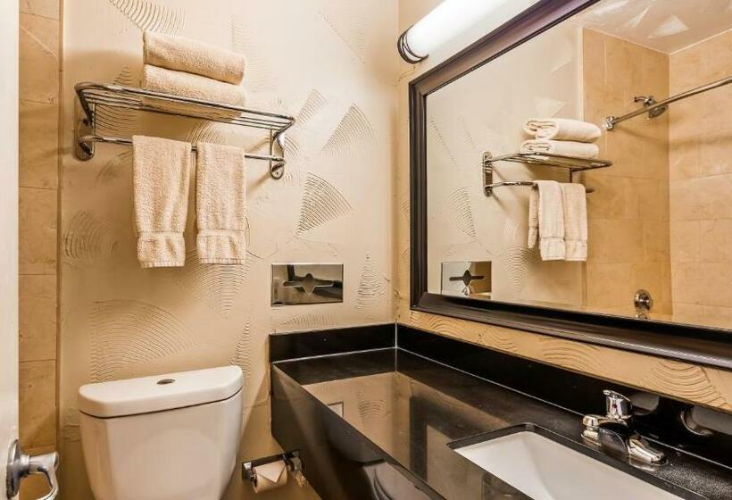 Motel 6 Dallas TX Downtown