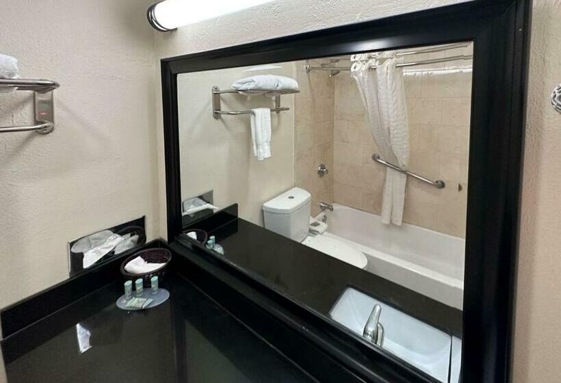 Motel 6 Dallas TX Downtown