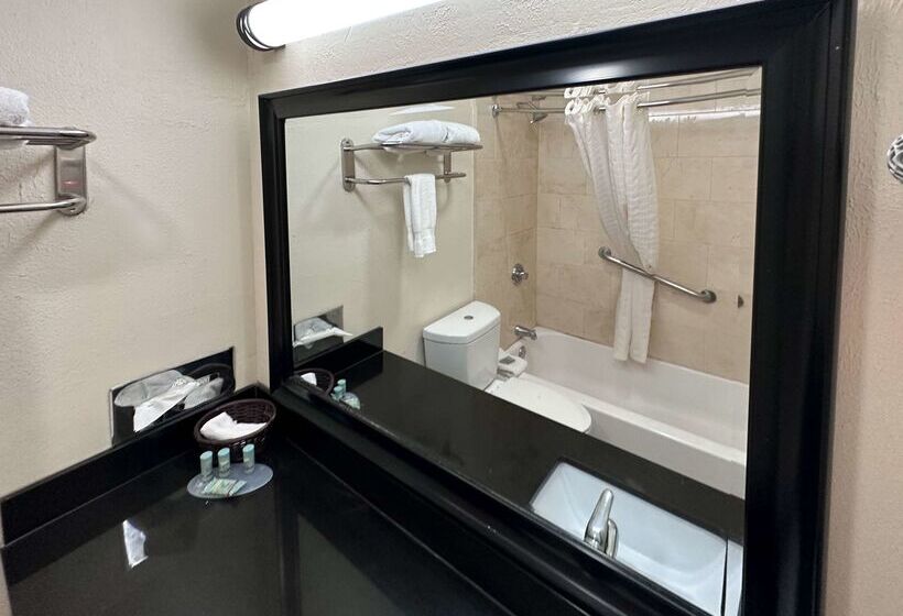 Motel 6 Dallas TX Downtown