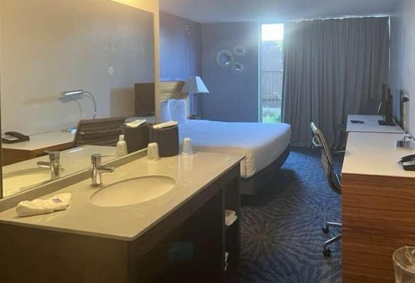 Motel 6 Dallas TX Downtown